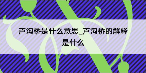 芦沟桥是什么意思_芦沟桥的解释是什么