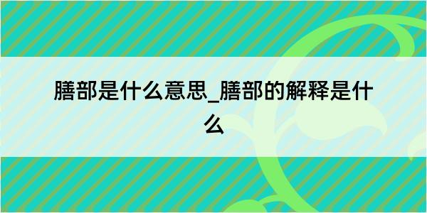 膳部是什么意思_膳部的解释是什么