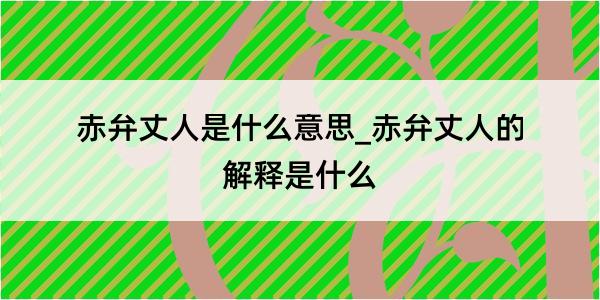 赤弁丈人是什么意思_赤弁丈人的解释是什么