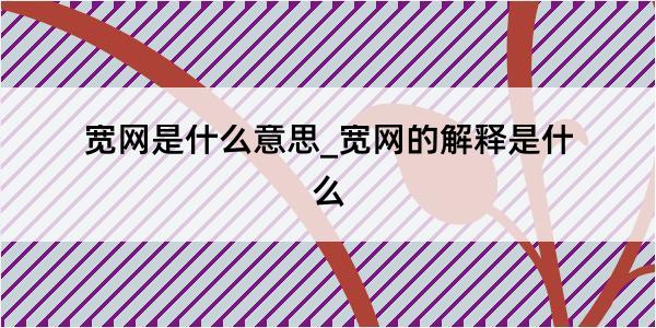 宽网是什么意思_宽网的解释是什么