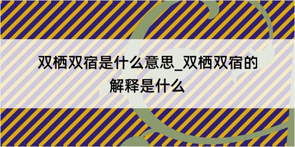 双栖双宿是什么意思_双栖双宿的解释是什么