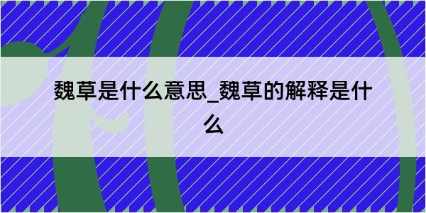 魏草是什么意思_魏草的解释是什么