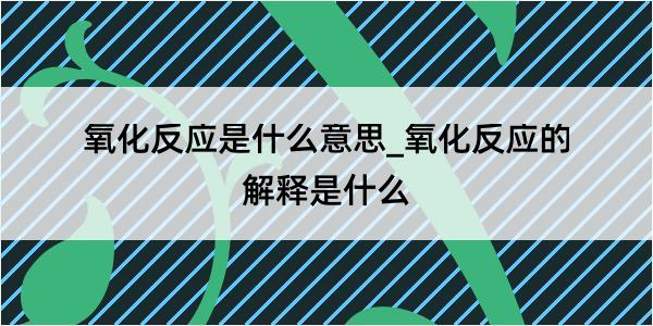 氧化反应是什么意思_氧化反应的解释是什么