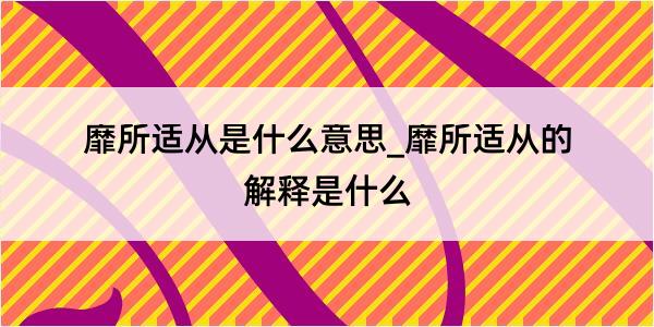 靡所适从是什么意思_靡所适从的解释是什么