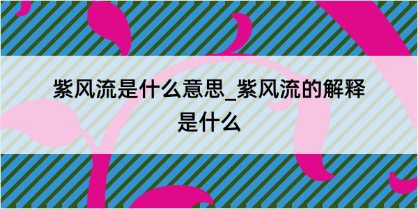 紫风流是什么意思_紫风流的解释是什么