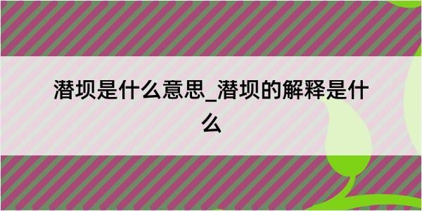 潜坝是什么意思_潜坝的解释是什么