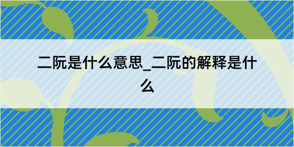 二阮是什么意思_二阮的解释是什么