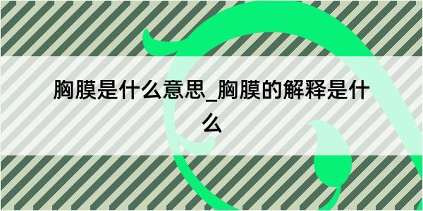 胸膜是什么意思_胸膜的解释是什么