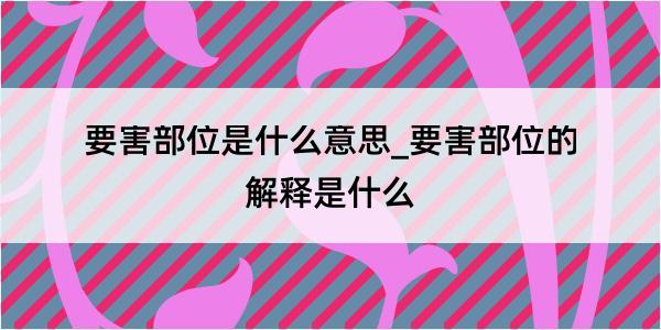 要害部位是什么意思_要害部位的解释是什么