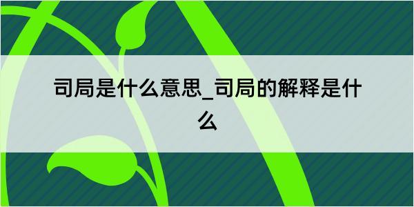 司局是什么意思_司局的解释是什么