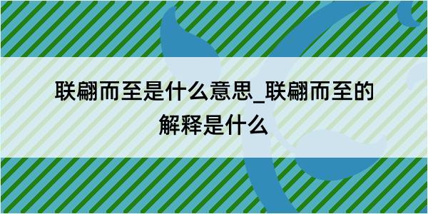 联翩而至是什么意思_联翩而至的解释是什么