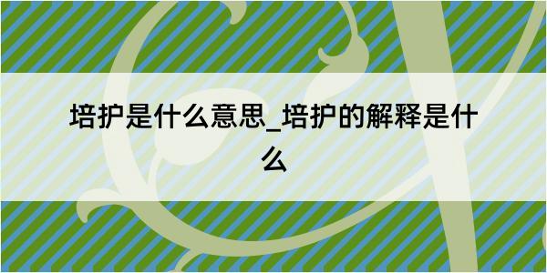 培护是什么意思_培护的解释是什么