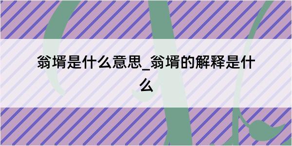 翁壻是什么意思_翁壻的解释是什么