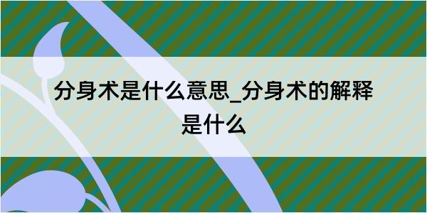 分身术是什么意思_分身术的解释是什么