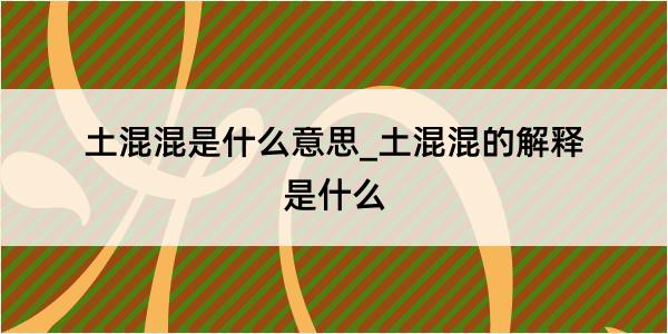 土混混是什么意思_土混混的解释是什么