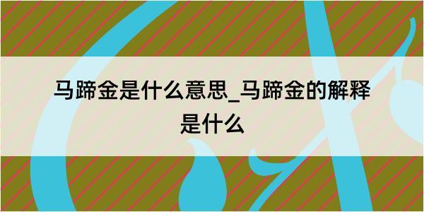 马蹄金是什么意思_马蹄金的解释是什么