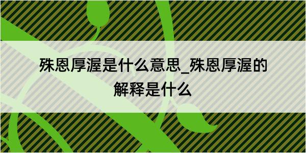 殊恩厚渥是什么意思_殊恩厚渥的解释是什么