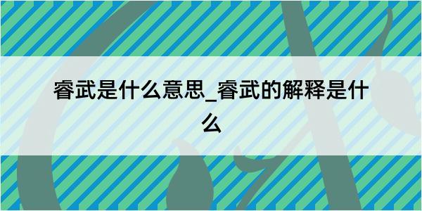 睿武是什么意思_睿武的解释是什么