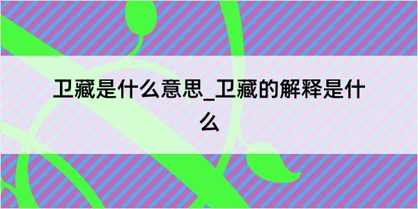 卫藏是什么意思_卫藏的解释是什么