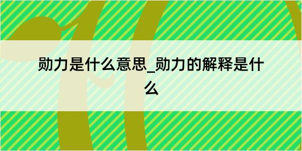 勋力是什么意思_勋力的解释是什么