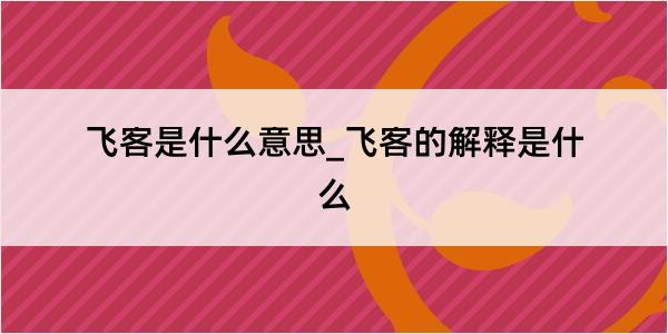 飞客是什么意思_飞客的解释是什么