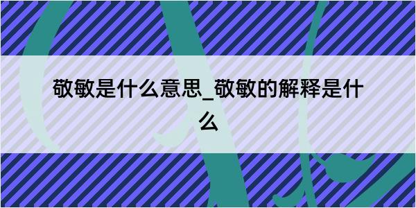 敬敏是什么意思_敬敏的解释是什么