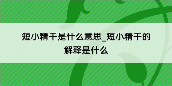 短小精干是什么意思_短小精干的解释是什么