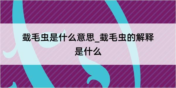 蛓毛虫是什么意思_蛓毛虫的解释是什么