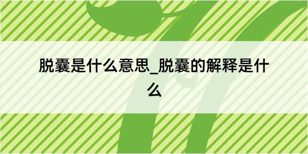 脱囊是什么意思_脱囊的解释是什么