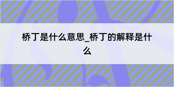 桥丁是什么意思_桥丁的解释是什么