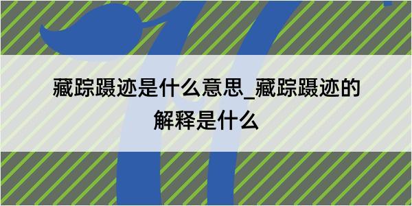 藏踪蹑迹是什么意思_藏踪蹑迹的解释是什么