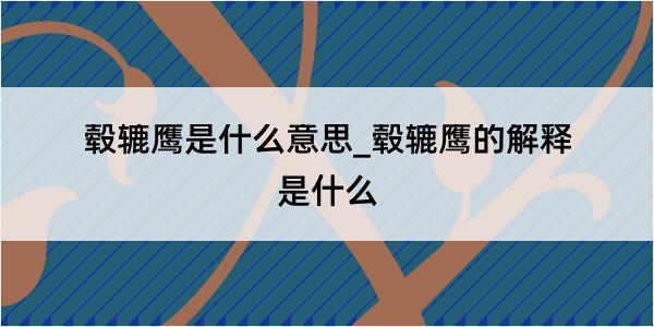 毂辘鹰是什么意思_毂辘鹰的解释是什么