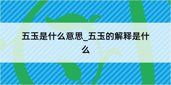 五玉是什么意思_五玉的解释是什么