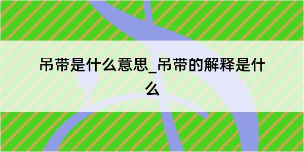 吊带是什么意思_吊带的解释是什么