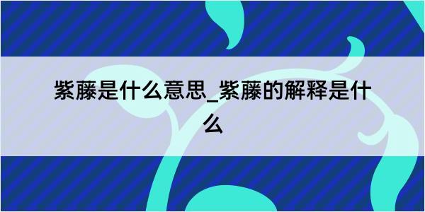 紫藤是什么意思_紫藤的解释是什么