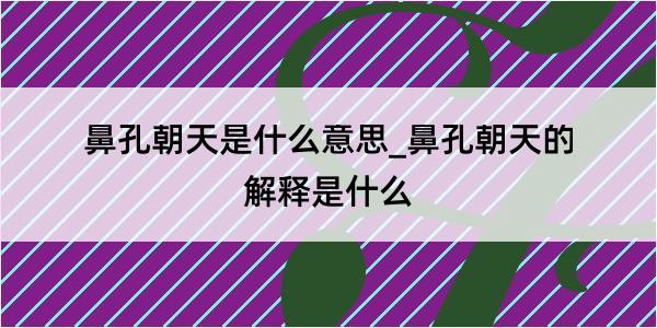 鼻孔朝天是什么意思_鼻孔朝天的解释是什么