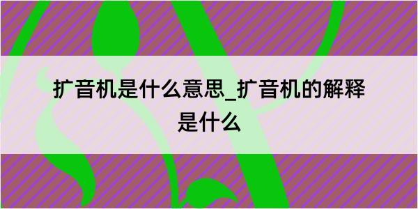 扩音机是什么意思_扩音机的解释是什么