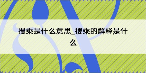 搜乘是什么意思_搜乘的解释是什么