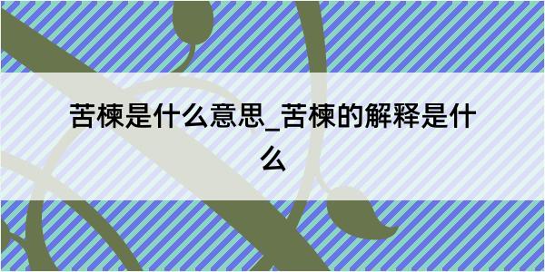 苦楝是什么意思_苦楝的解释是什么