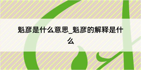 魁彦是什么意思_魁彦的解释是什么