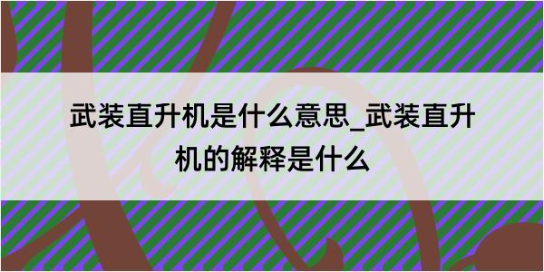 武装直升机是什么意思_武装直升机的解释是什么