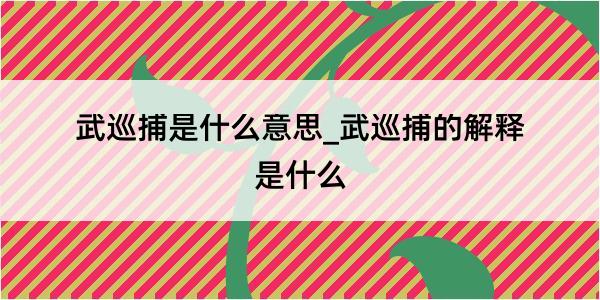 武巡捕是什么意思_武巡捕的解释是什么