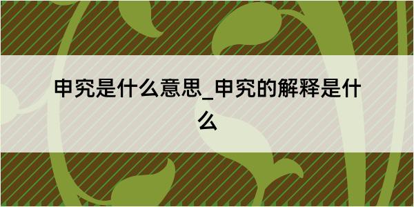 申究是什么意思_申究的解释是什么