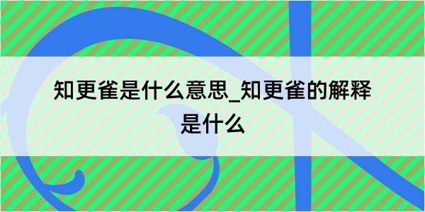 知更雀是什么意思_知更雀的解释是什么