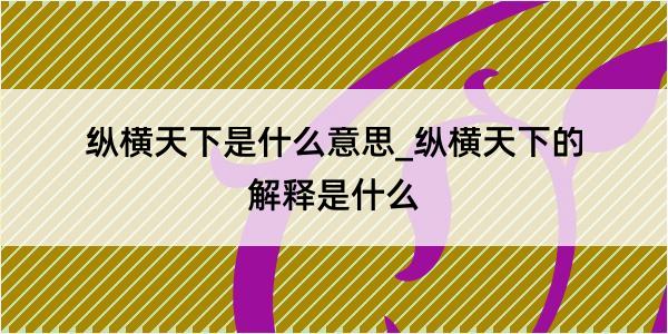 纵横天下是什么意思_纵横天下的解释是什么