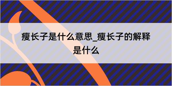 瘦长子是什么意思_瘦长子的解释是什么