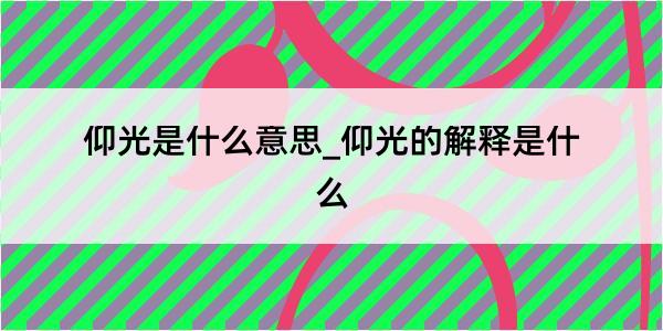 仰光是什么意思_仰光的解释是什么