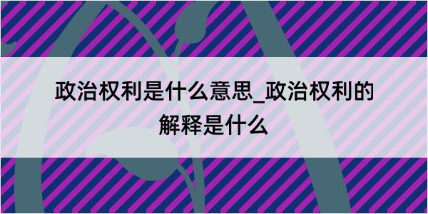 政治权利是什么意思_政治权利的解释是什么