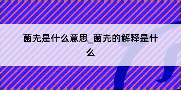 菌圥是什么意思_菌圥的解释是什么