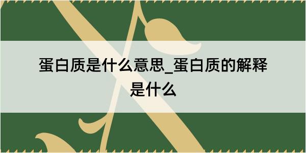 蛋白质是什么意思_蛋白质的解释是什么